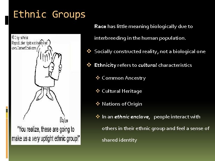 Ethnic Groups Race has little meaning biologically due to interbreeding in the human population.