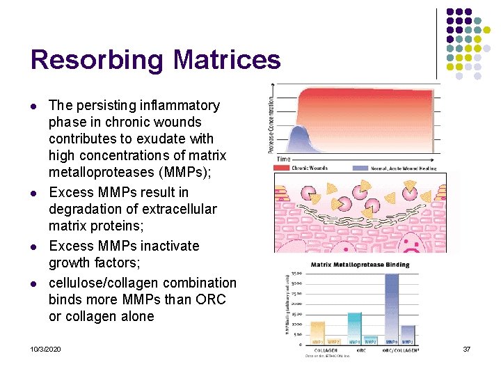Resorbing Matrices l l The persisting inflammatory phase in chronic wounds contributes to exudate Resorbing Matrices l l The persisting inflammatory phase in chronic wounds contributes to exudate