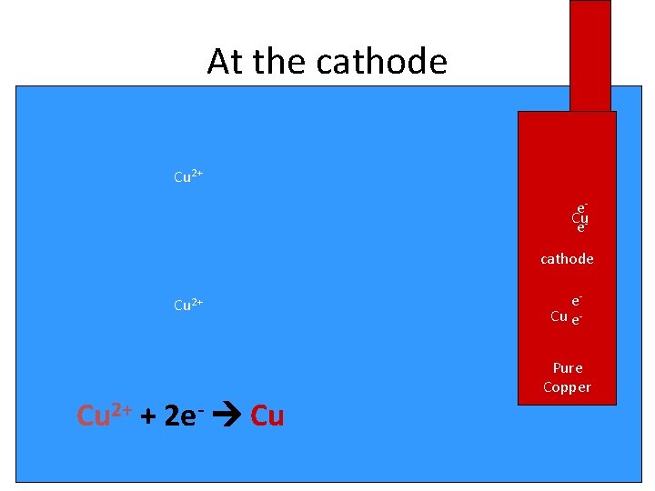 At the cathode Cu 2+ cathode e. Cucathode e cathode Cu 2+ + 2