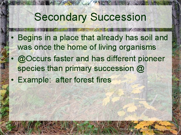 Secondary Succession • Begins in a place that already has soil and was once