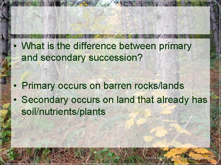  • What is the difference between primary and secondary succession? • Primary occurs