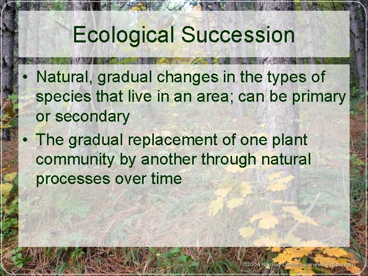 Ecological Succession • Natural, gradual changes in the types of species that live in