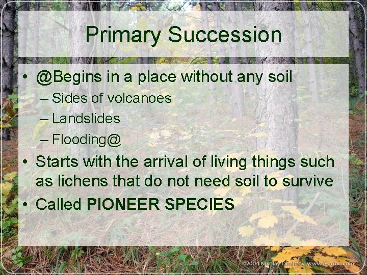 Primary Succession • @Begins in a place without any soil – Sides of volcanoes