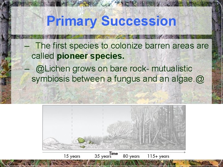 Primary Succession – The first species to colonize barren areas are called pioneer species.