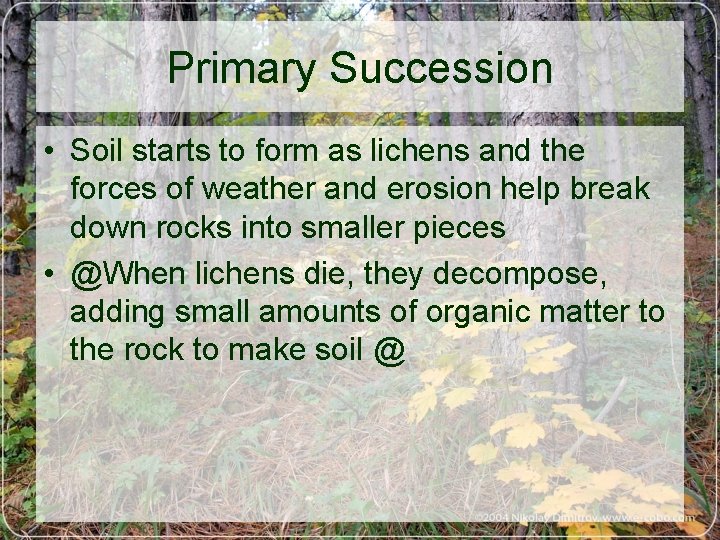 Primary Succession • Soil starts to form as lichens and the forces of weather