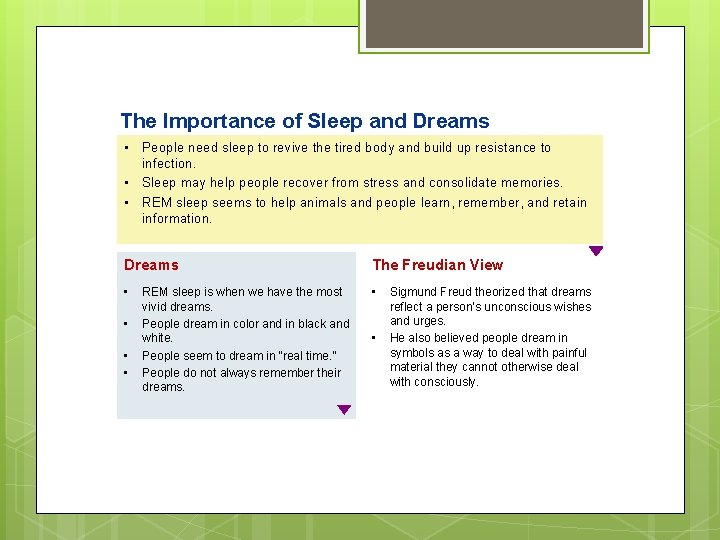 The Importance of Sleep and Dreams • People need sleep to revive the tired