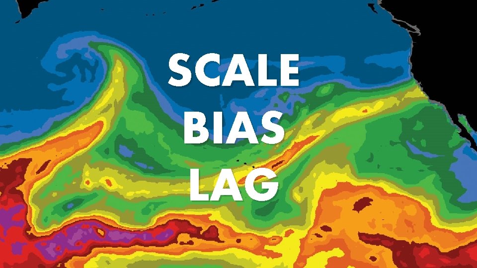 SCALE BIAS LAG SCALE BIAS LAG