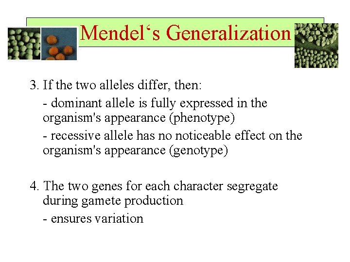  Mendel‘s Generalization 3. If the two alleles differ, then: - dominant allele is