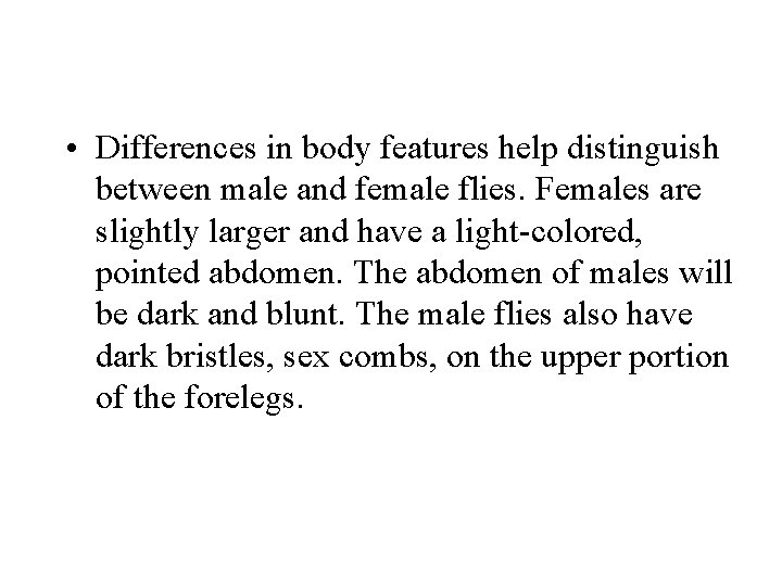  • Differences in body features help distinguish between male and female flies. Females