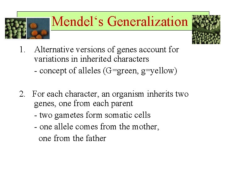  Mendel‘s Generalization 1. Alternative versions of genes account for variations in inherited characters