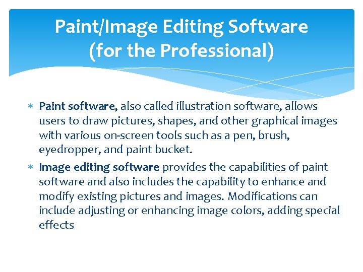 Paint/Image Editing Software (for the Professional) Paint software, also called illustration software, allows users