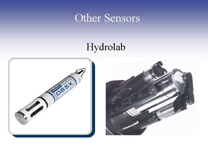 Other Sensors Hydrolab Other Sensors Hydrolab