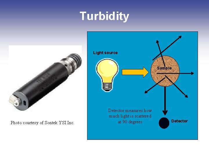 Turbidity Light source Sample Photo courtesy of Sontek YSI Inc. Detector measures how much Turbidity Light source Sample Photo courtesy of Sontek YSI Inc. Detector measures how much