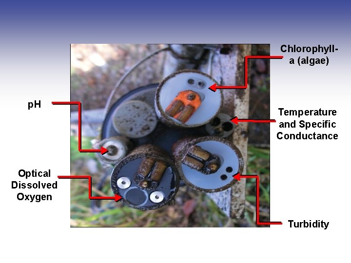 Chlorophylla (algae) p. H Temperature and Specific Conductance Optical Dissolved Oxygen Turbidity Chlorophylla (algae) p. H Temperature and Specific Conductance Optical Dissolved Oxygen Turbidity