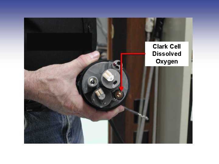 Clark Cell Dissolved Oxygen Clark Cell Dissolved Oxygen