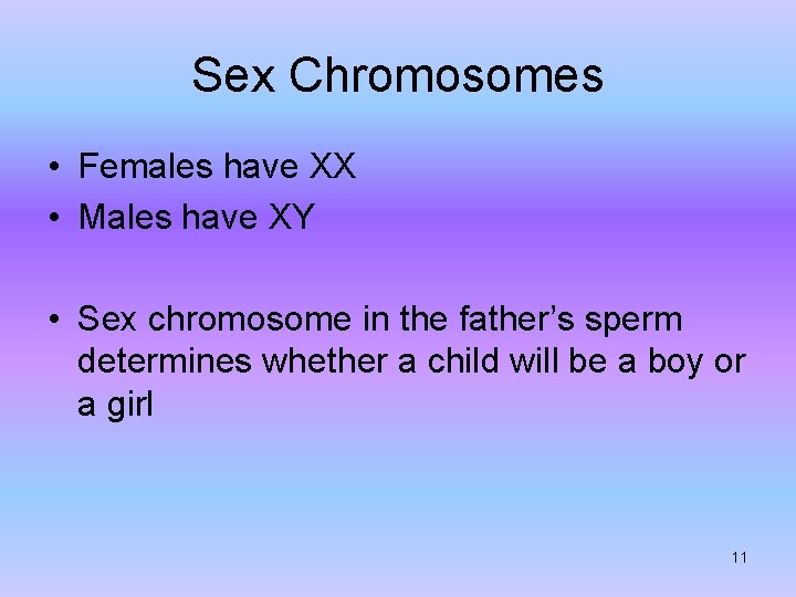 Sex Chromosomes • Females have XX • Males have XY • Sex chromosome in