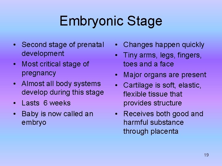 Embryonic Stage • Second stage of prenatal development • Most critical stage of pregnancy