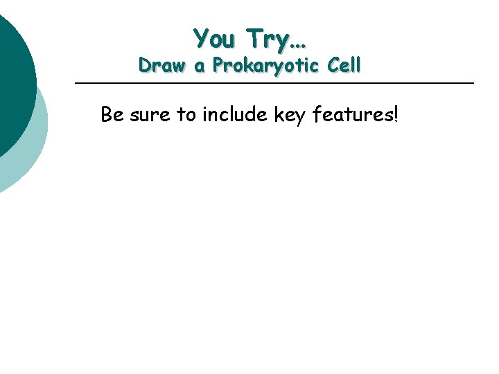 You Try… Draw a Prokaryotic Cell Be sure to include key features! 