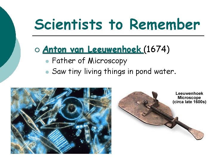Scientists to Remember ¡ Anton van Leeuwenhoek (1674) l l Father of Microscopy Saw