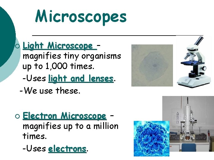 Microscopes Light Microscope – magnifies tiny organisms up to 1, 000 times. -Uses light