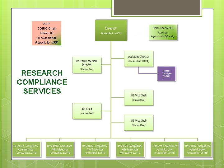 AVP COIRC Chair Interim IO (Unclassified) Reports to VPR RESEARCH COMPLIANCE SERVICES 