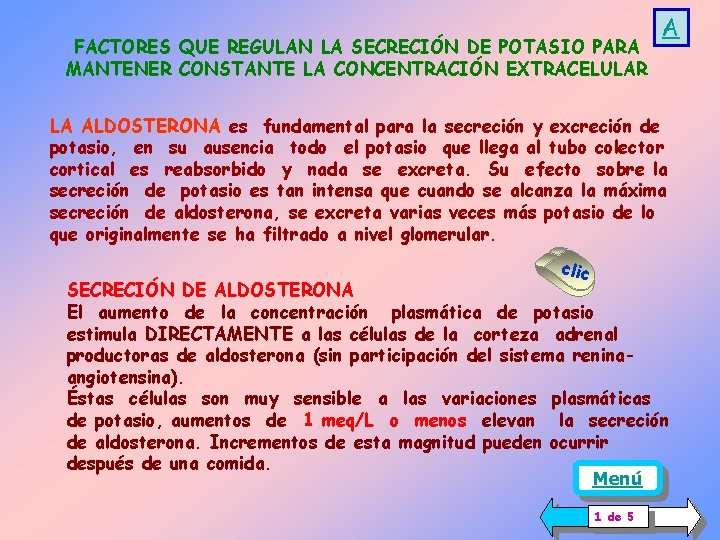 FACTORES QUE REGULAN LA SECRECIÓN DE POTASIO PARA MANTENER CONSTANTE LA CONCENTRACIÓN EXTRACELULAR A