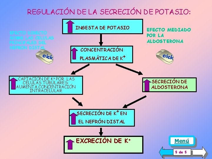 REGULACIÓN DE LA SECRECIÓN DE POTASIO: EFECTO DIRECTO SOBRE LAS CELULAS PRINCi. PALES DEL