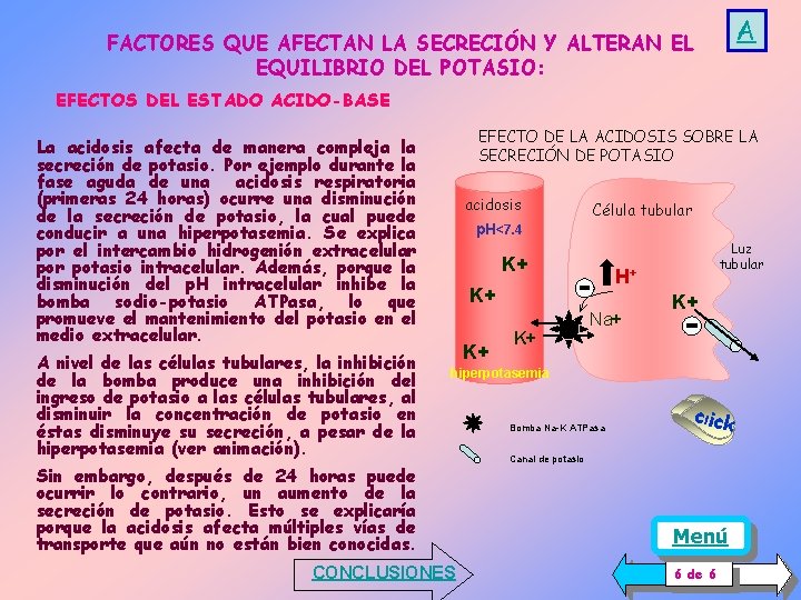 A FACTORES QUE AFECTAN LA SECRECIÓN Y ALTERAN EL EQUILIBRIO DEL POTASIO: EFECTOS DEL