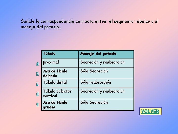 Señale la correspondencia correcta entre el segmento tubular y el manejo del potasio: Túbulo