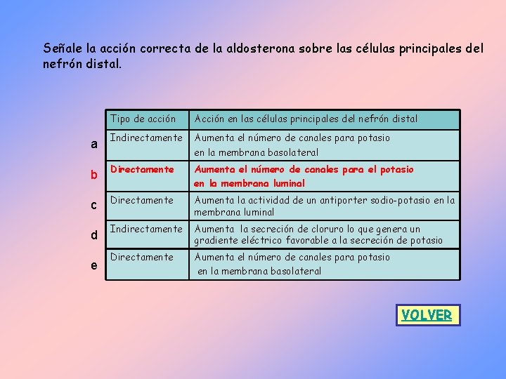 Señale la acción correcta de la aldosterona sobre las células principales del nefrón distal.