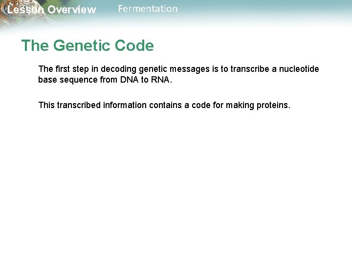 Lesson Overview Fermentation The Genetic Code The first step in decoding genetic messages is