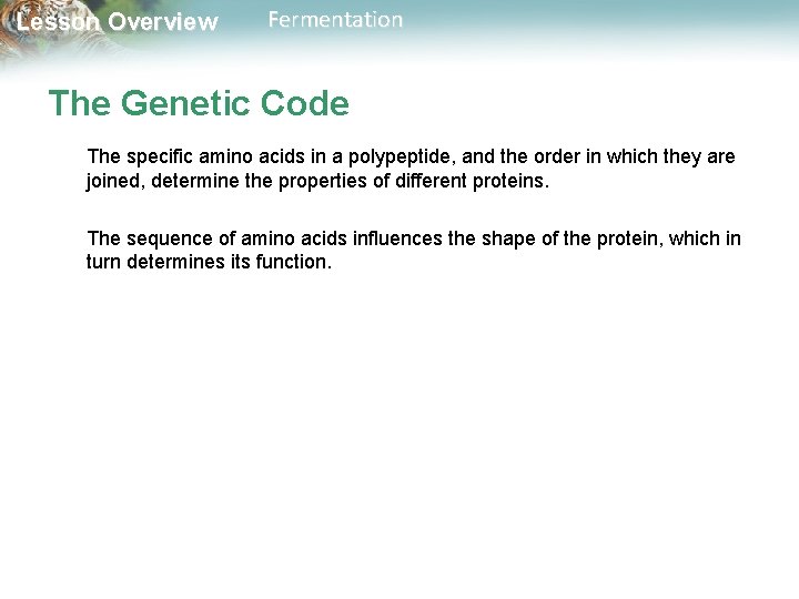 Lesson Overview Fermentation The Genetic Code The specific amino acids in a polypeptide, and