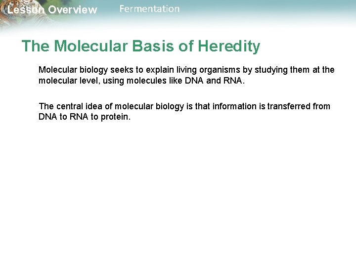 Lesson Overview Fermentation The Molecular Basis of Heredity Molecular biology seeks to explain living
