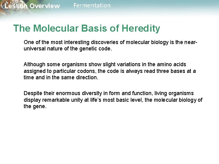 Lesson Overview Fermentation The Molecular Basis of Heredity One of the most interesting discoveries