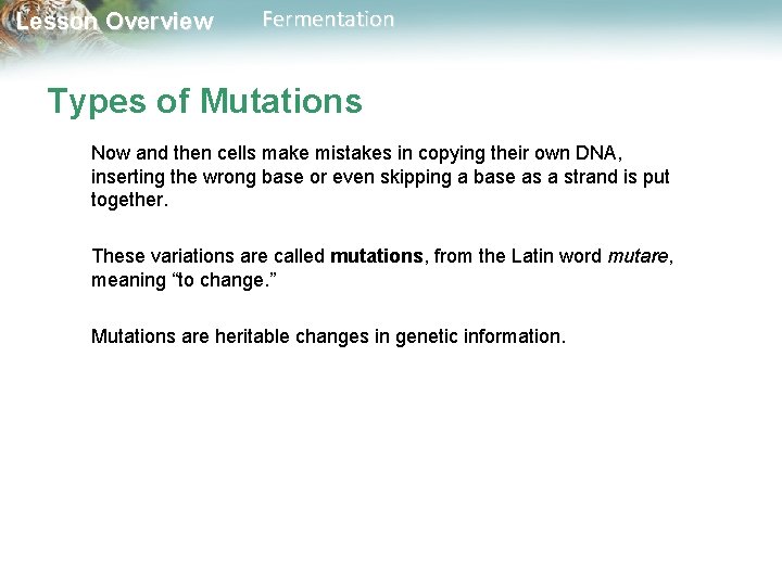 Lesson Overview Fermentation Types of Mutations Now and then cells make mistakes in copying
