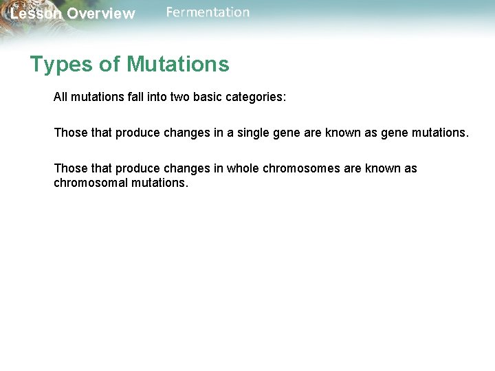 Lesson Overview Fermentation Types of Mutations All mutations fall into two basic categories: Those