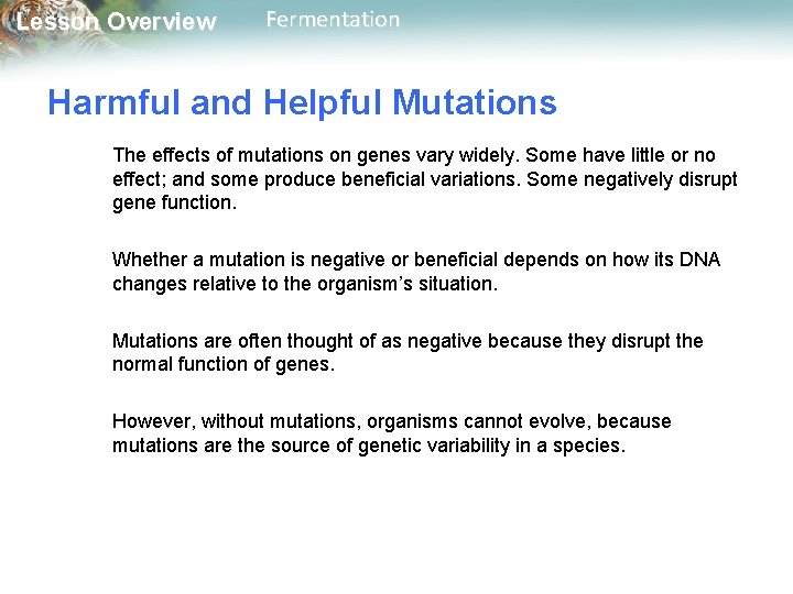 Lesson Overview Fermentation Harmful and Helpful Mutations The effects of mutations on genes vary