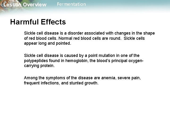 Lesson Overview Fermentation Harmful Effects Sickle cell disease is a disorder associated with changes
