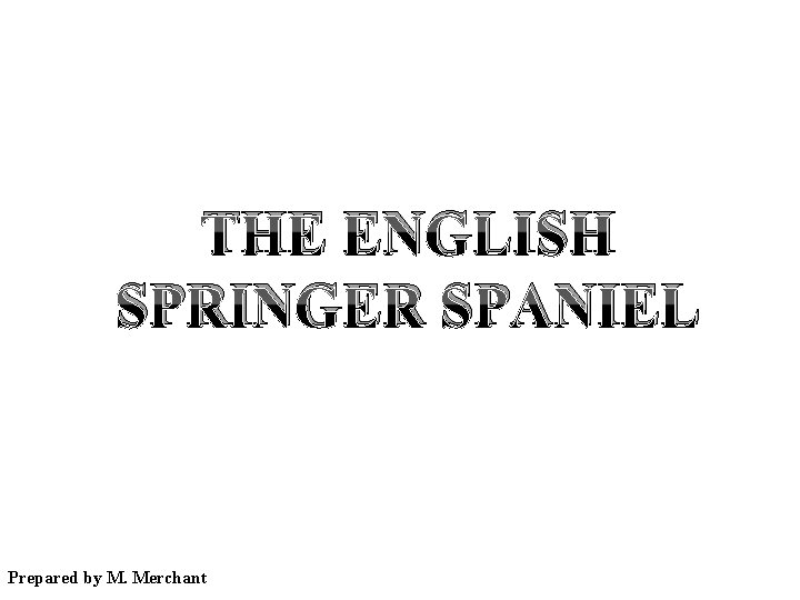THE ENGLISH SPRINGER SPANIEL Prepared by M. Merchant 