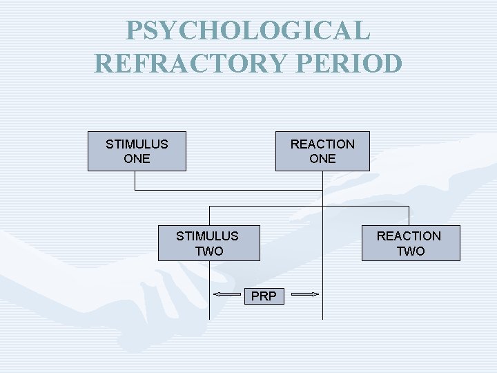 PSYCHOLOGICAL REFRACTORY PERIOD STIMULUS ONE REACTION ONE STIMULUS TWO REACTION TWO PRP 