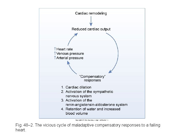 Fig. 48– 2. The vicious cycle of maladaptive compensatory responses to a failing heart.