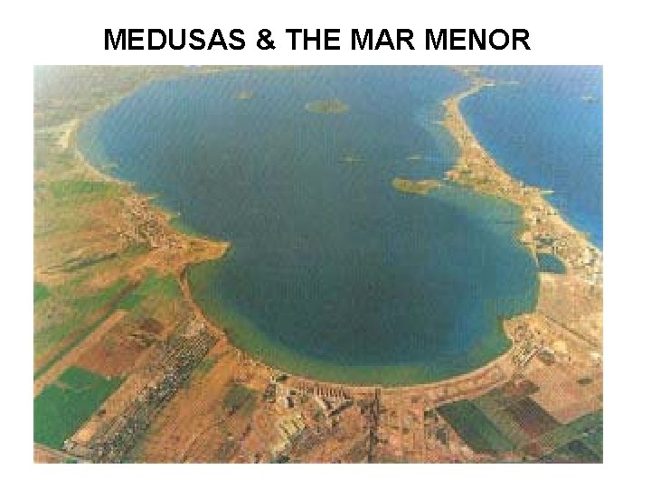 MEDUSAS & THE MAR MENOR 