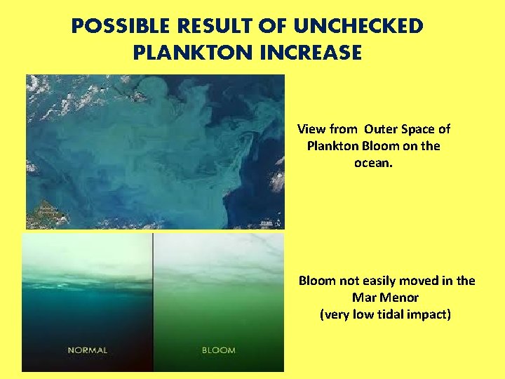POSSIBLE RESULT OF UNCHECKED PLANKTON INCREASE View from Outer Space of Plankton Bloom on