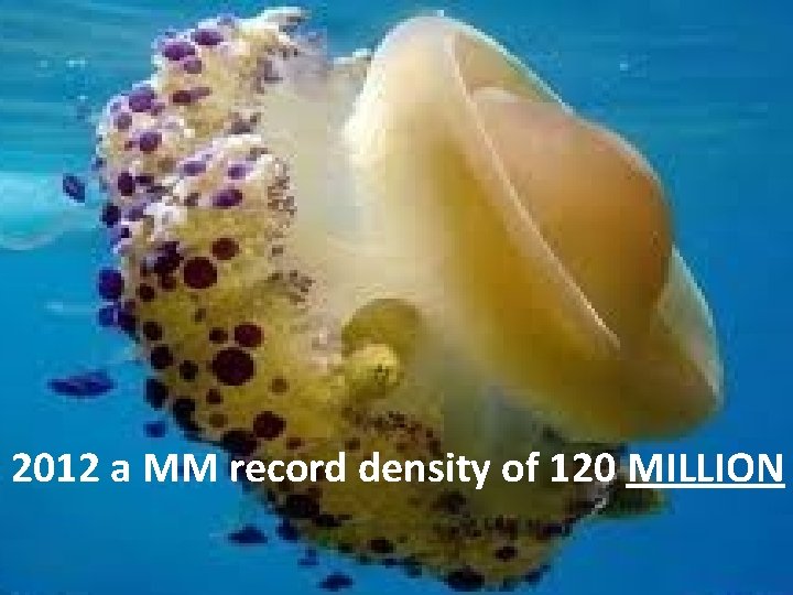 2012 a MM record density of 120 MILLION 