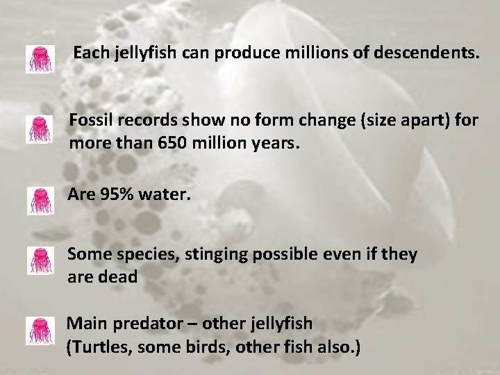 Each jellyfish can produce millions of descendents. Fossil records show no form change (size