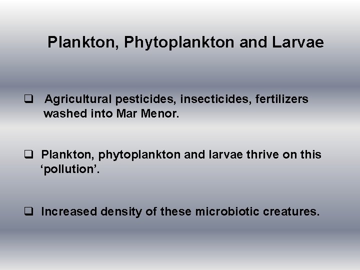 Plankton, Phytoplankton and Larvae q Agricultural pesticides, insecticides, fertilizers washed into Mar Menor. q