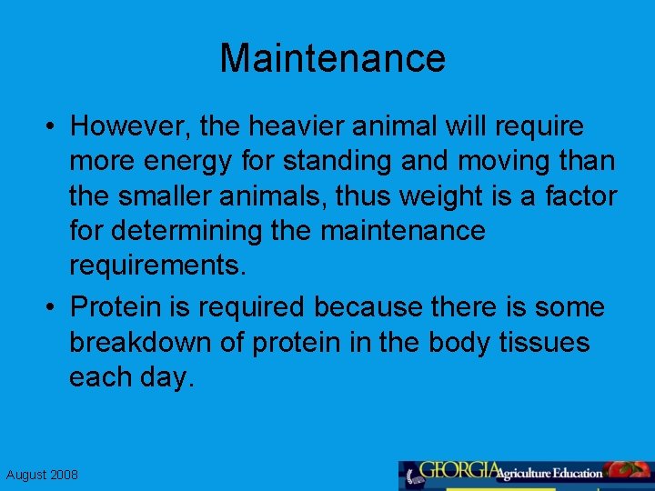 Maintenance • However, the heavier animal will require more energy for standing and moving