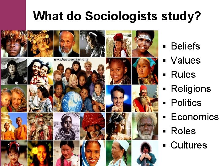 What do Sociologists study? § § § § Beliefs Values Rules Religions Politics Economics