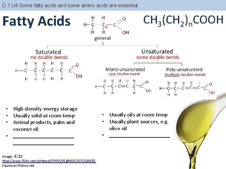 D. 1. U 4 Some fatty acids and some amino acids are essential. Fatty