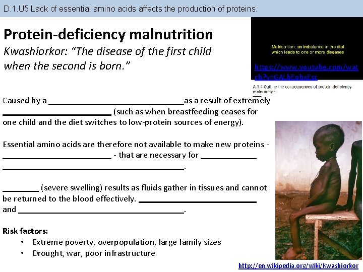 D. 1. U 5 Lack of essential amino acids affects the production of proteins.